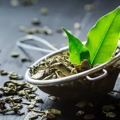 #1. Green Tea Extract