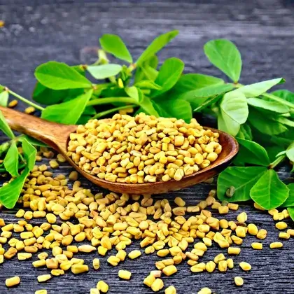 #6. Fenugreek